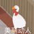 顾大鹅