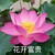 班主任