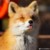 丁程鑫FOX