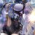 陈玥星君
