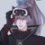 韩信