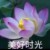 贺儿