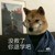 谭琴