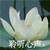 沈青華