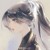 陈晓燕