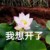 瓜娃子