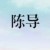 陈导