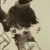 伊戈尔