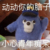 呆呆系统