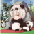 阿石
