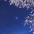 夜空中最亮的星