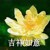 恩恩爸