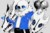 sans