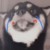 柴六斤