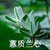 鐘意（許媽）