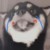 六斤他爹