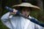 趙木瑤（侍衛(wèi)）