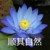 夏安之母