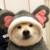 土狗作者