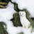 雪貂柳悦