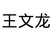 王文龍
