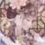 陆知夏
