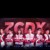 ZGDS（除雙C）