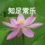 魏爸爸