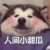 人间小甜瓜
