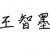 王智墨