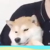 某人