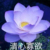 晨姐