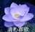 路人校醫(yī)