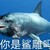 無關(guān)緊要的傻叉
