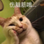 凉意