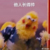 护士