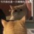 贺语