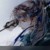 敖萧羽