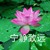 奶奶