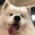 林经纪人