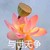 小乌龟