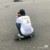 王巴丹