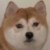 主角