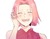春野樱