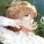 作者.麟月冬娜