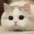 葵子
