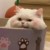 尹筱苒-
