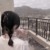 同学女