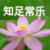 管家