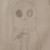 Amnesia二阶